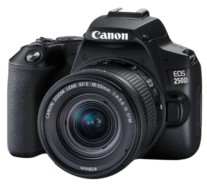 Замена дисплея фотоаппарата на Canon EOS 250D